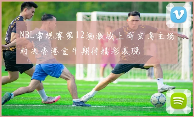 NBL常规赛第12场激战上海玄鸟主场对决香港金牛期待精彩表现